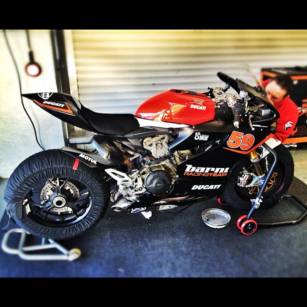 dengiu_canepa_stock_1000_test_jerez